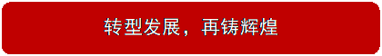 圆角矩形: 转型发展,再铸辉煌